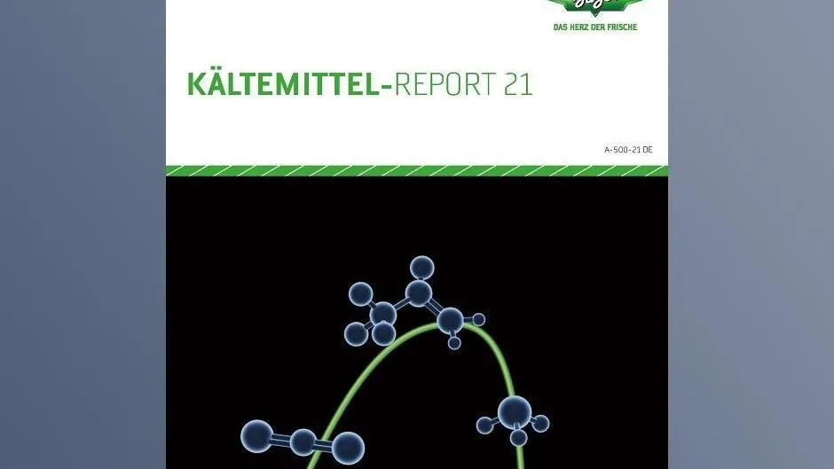 1_Bitzer_Report_web