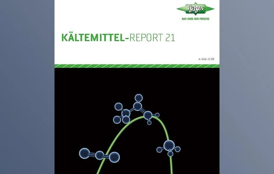 1_Bitzer_Report_web