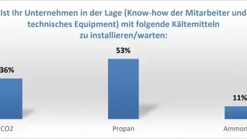 Im Umgang mit natürlichen Kältemitteln hat sich besonders gut das Know-how bei Propan entwickelt.