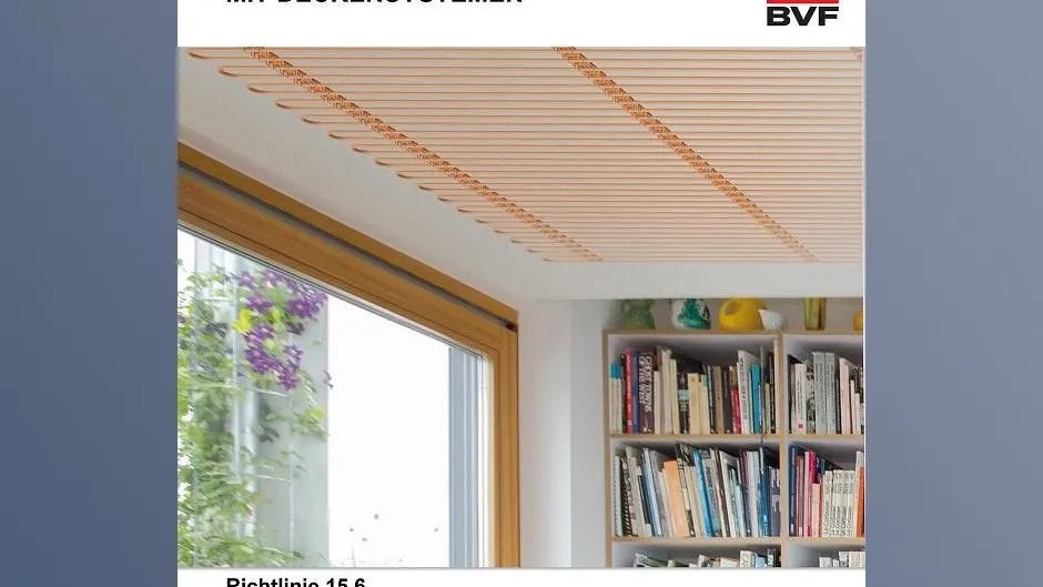 BVF_Cover_Eingeputzte Systeme_web