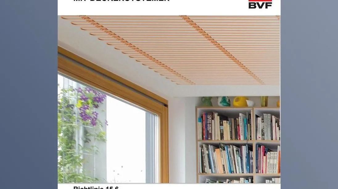 BVF_Cover_Eingeputzte Systeme_web