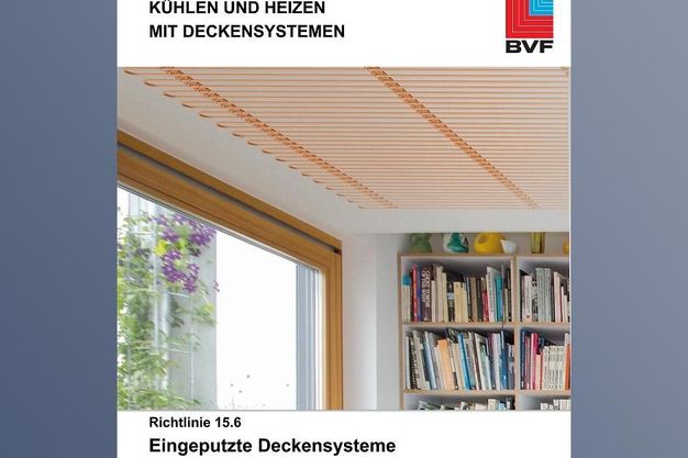 BVF_Cover_Eingeputzte Systeme_web