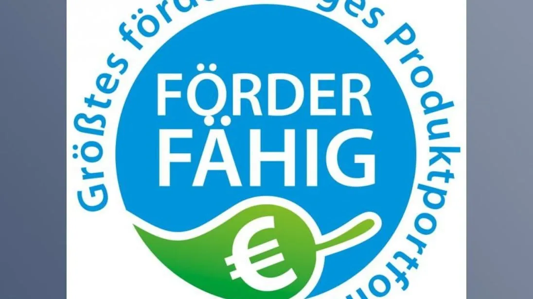 Logo_DAIKIN_Foerderfaehig