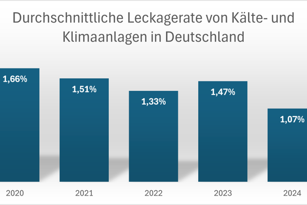 Leckagerate